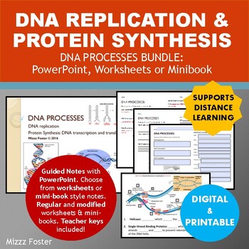 Preview of DNA Replication and Protein Synthesis: PowerPoint and Notes (Digital & Print)