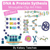 DNA & Protein Synthesis Bio Clip Art | Clipart Moveable Pi