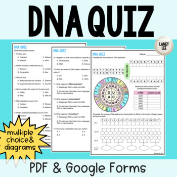 Preview of DNA Quiz with Google Forms (Protein Synthesis & Replication)
