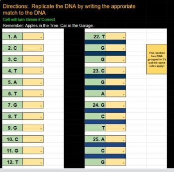 Preview of DNA REPLICATION Practice -  Self Grading Review