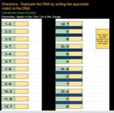 DNA REPLICATION Practice -  Self Grading Review