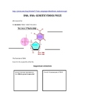 DNA, RNA- Genetic Code Prezi Outline (with Prezi link)