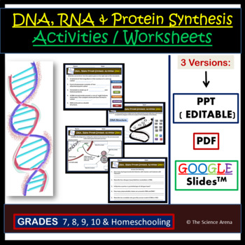 DNA, RNA, Protein Synthesis Activities (Worksheets)– Editable, Distance ...