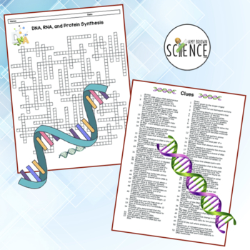 Protein Synthesis Virtual Lab Answer Key | All Articles ...