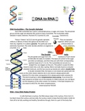 DNA, RNA, Protein Synthesis, & Genetic Mutations