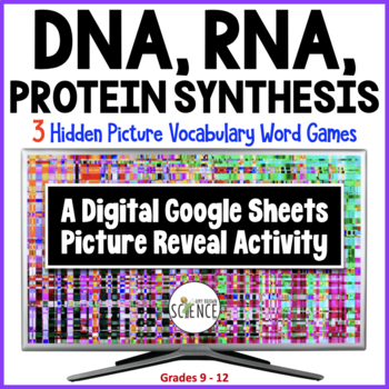 Preview of DNA RNA Protein Synthesis Hidden Picture Activities Replication Transcription