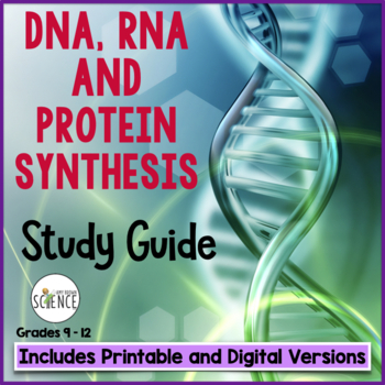 Preview of DNA RNA Protein Synthesis Worksheets Structure Replication Transcription