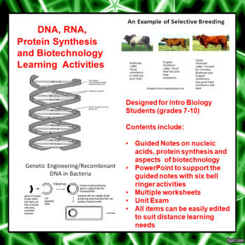 Preview of DNA/RNA, Protein Synthesis and Biotechnology Learning Activities (Dist Learn)