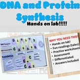 DNA, RNA, Protein Synthesis and Mutations Bundle