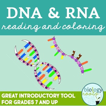 DNA RNA Reading and Coloring Activity by Biology Roots | TpT