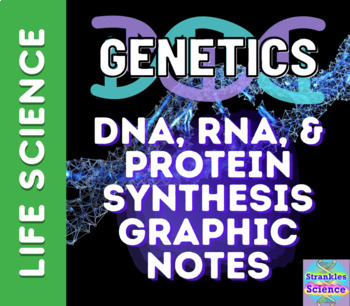 Preview of DNA, RNA, and Protein Synthesis Graphic Notes!