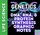 DNA, RNA, and Protein Synthesis Graphic Notes!