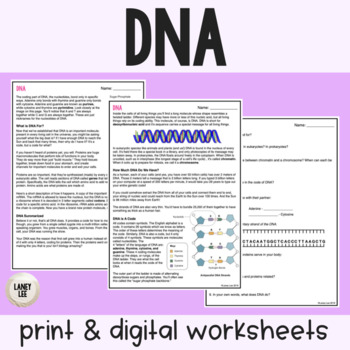 Preview of DNA - Reading Comprehension Worksheets