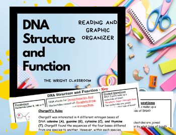 Preview of DNA Reading/Graphic Organizer Structure and Function