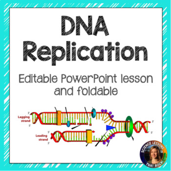 Preview of DNA Replication