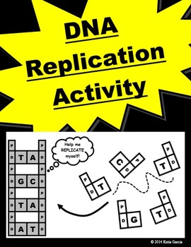 Preview of DNA Replication Activity
