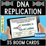 DNA Replication Boom Cards
