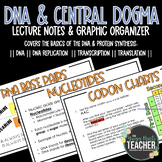 DNA Replication & Central Dogma Notes and Graphic Organize