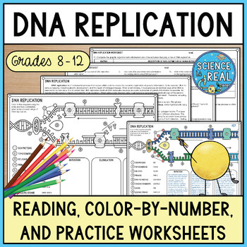 Preview of DNA Replication Coloring, Reading, and Worksheets