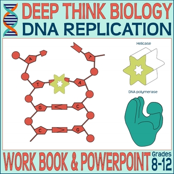 Preview of DNA Replication -  Deep Think Biology 8