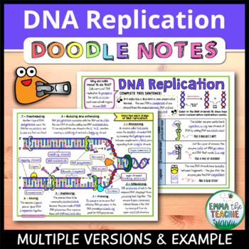 Preview of DNA Replication Doodle Notes - Enzyme Analogies, Big Diagram, Cut & Paste Option