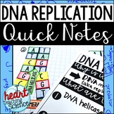 DNA Replication Interactive Notebook Activity