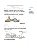 DNA Replication Reading Comprehension With Questions and M