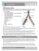 DNA Replication Model & Photo Journal