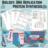 DNA Replication, Protein Synthesis & Snorks