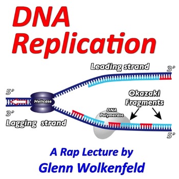 Preview of DNA Replication Rap