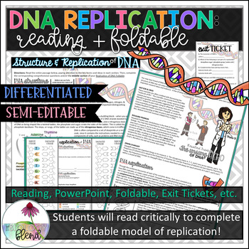 DNA Replication Reading and Foldable Package by The Biology Blend