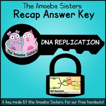 Preview of DNA Replication Recap Answer Key by The Amoeba Sisters- Amoeba Sisters Key