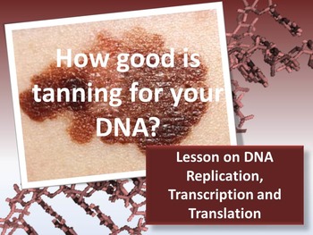 Preview of DNA: Replication, Transcription and Translation