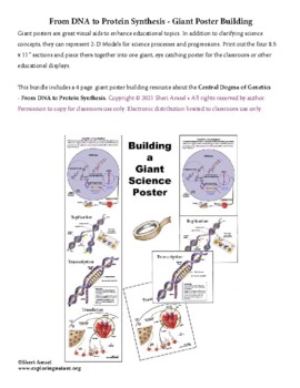 Preview of DNA Replication, Transcription, and Translation - Giant Poster