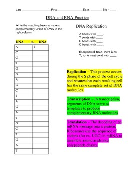 Dna Replication Transcription And Translation Practice Worksheet On this page you can find old gotranscript tests. dna replication transcription and translation practice worksheet