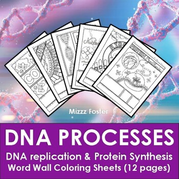 Preview of DNA Replication & Protein Synthesis: Transcription, Translation Coloring Sheets