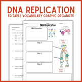 DNA Replication Vocabulary Graphic Organizer | Biology