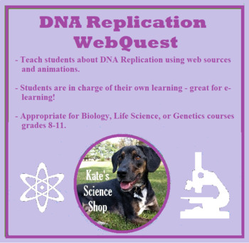 Preview of DNA Replication WebQuest