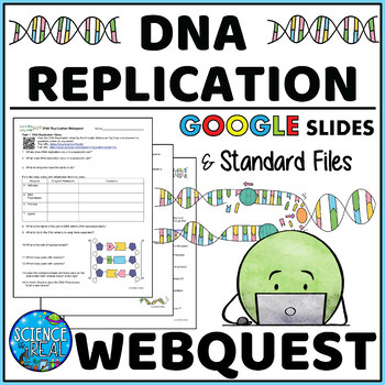 Preview of DNA Replication Webquest