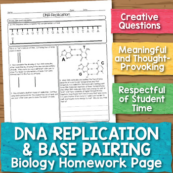 Dna Replication Worksheet Answer Key Quizlet ...