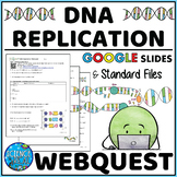 DNA Replication Webquest - Editable MS Word, PDF, and Goog