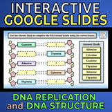 DNA Replication and Structure -- Interactive Google Slides