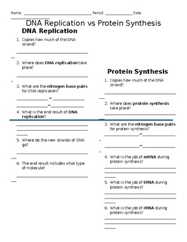 Preview of DNA Replication vs Protein Synthesis