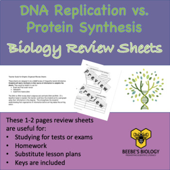 Preview of DNA Replication vs. Protein Synthesis