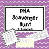 DNA Transcription & Translation Scavenger Hunt