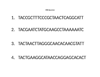 Dna Sequencing Worksheets Teaching Resources Tpt