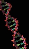 DNA Smart Notebook