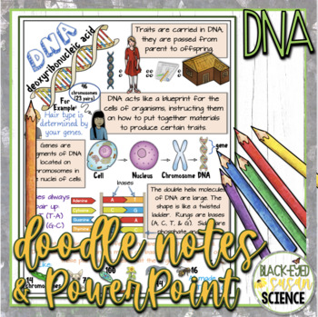 Preview of DNA Doodle Notes & Quiz + PowerPoint