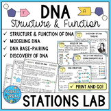 DNA Stations Lab - Structure and Function of DNA - Student