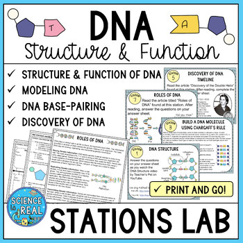 Preview of DNA Stations Lab - Structure and Function of DNA - Student Led Stations